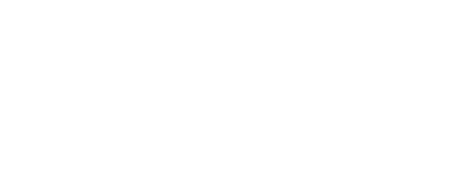 LSEXPO-INTERNACIONal